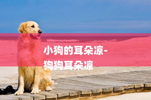 小狗的耳朵涼-
狗狗耳朵涼