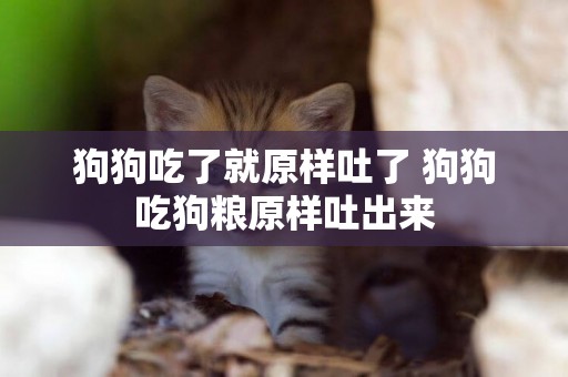 狗狗吃了就原樣吐了 狗狗吃狗糧原樣吐出來