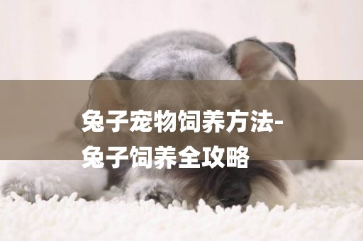 兔子寵物飼養方法-
兔子飼養全攻略