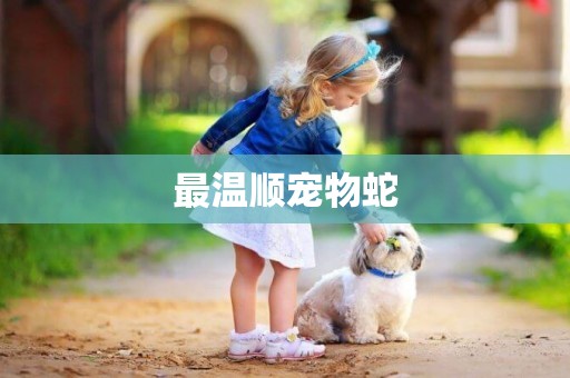最溫順寵物蛇