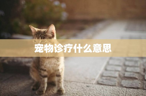 寵物診療什么意思