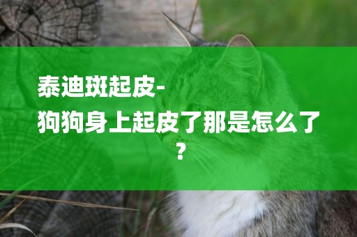泰迪斑起皮-
狗狗身上起皮了那是怎么了？