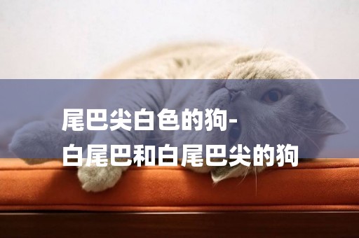尾巴尖白色的狗-
白尾巴和白尾巴尖的狗