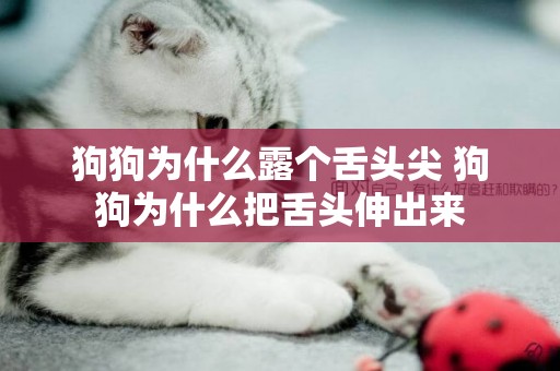 狗狗為什么露個舌頭尖 狗狗為什么把舌頭伸出來