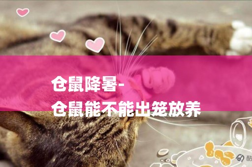 倉鼠降暑-
倉鼠能不能出籠放養