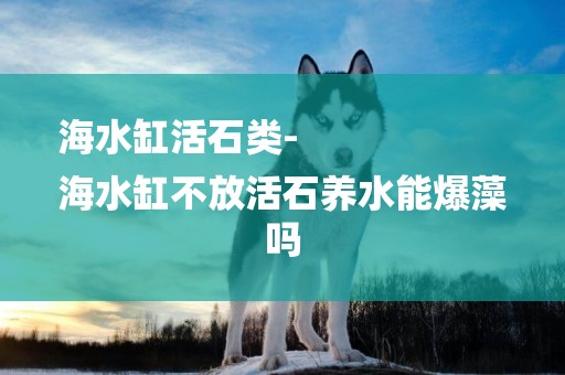 海水缸活石類-
海水缸不放活石養水能爆藻嗎