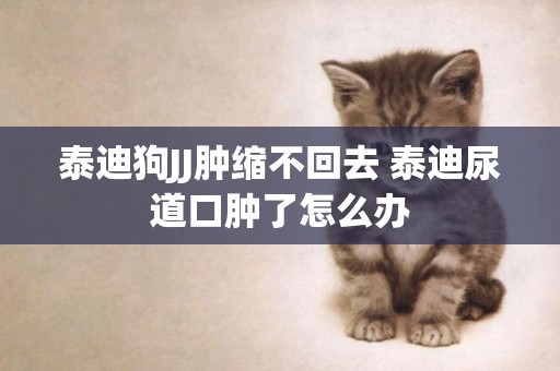 泰迪狗JJ腫縮不回去 泰迪尿道口腫了怎么辦