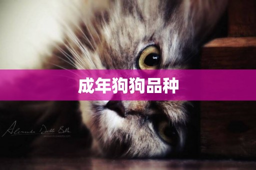 成年狗狗品種