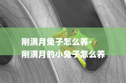 剛滿月兔子怎么養-
剛滿月的小兔子怎么養