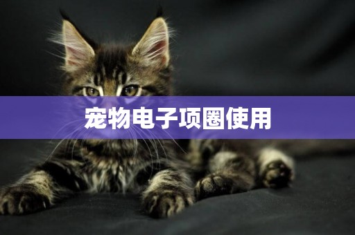 寵物電子項圈使用