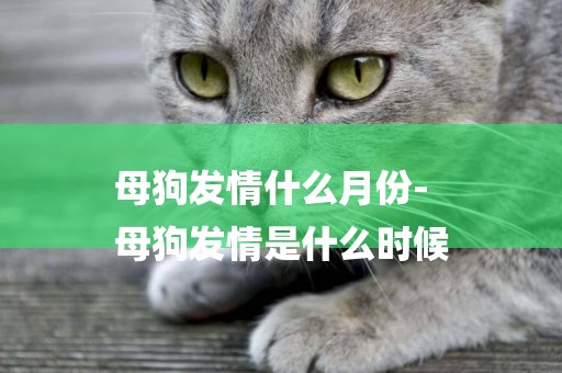 母狗發情什么月份-
母狗發情是什么時候