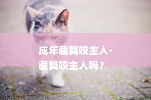 成年藏獒咬主人-
藏獒咬主人嗎？