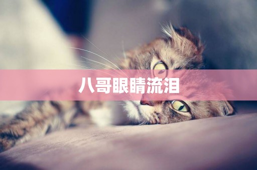 八哥眼睛流淚