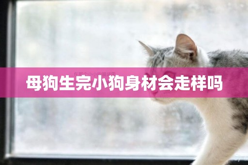 母狗生完小狗身材會走樣嗎
