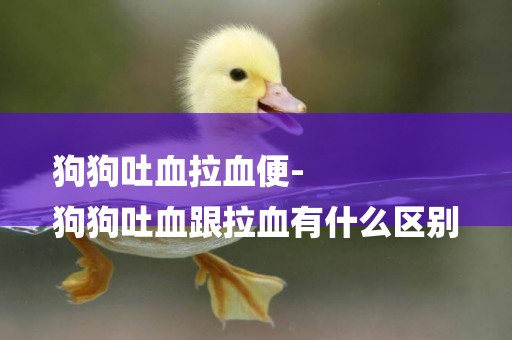 狗狗吐血拉血便-
狗狗吐血跟拉血有什么區別