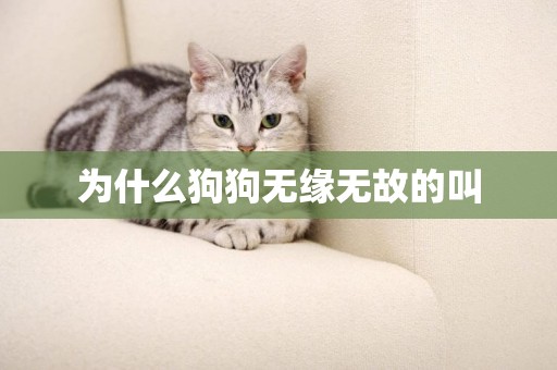 為什么狗狗無緣無故的叫