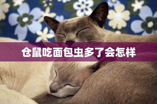 倉鼠吃面包蟲多了會怎樣
