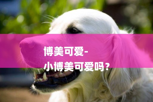 博美可愛-
小博美可愛嗎？