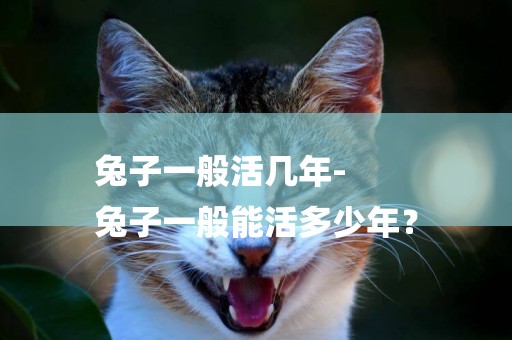 兔子一般活幾年-
兔子一般能活多少年？