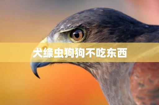 犬絳蟲狗狗不吃東西