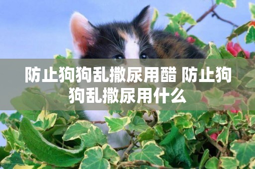 防止狗狗亂撒尿用醋 防止狗狗亂撒尿用什么