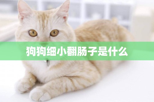 狗狗細小翻腸子是什么