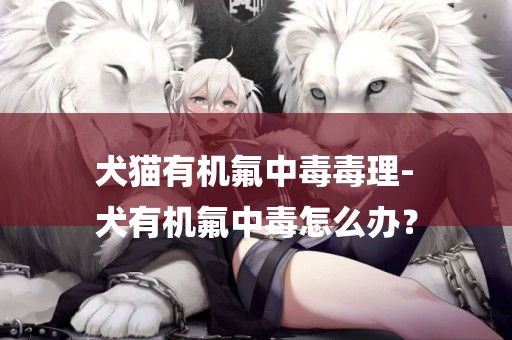 犬貓有機氟中毒毒理-
犬有機氟中毒怎么辦？