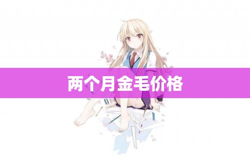兩個月金毛價格