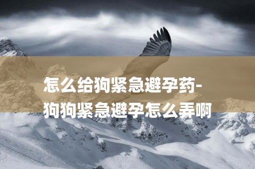 怎么給狗緊急避孕藥-
狗狗緊急避孕怎么弄啊