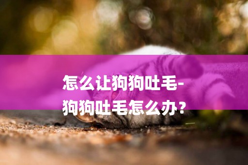 怎么讓狗狗吐毛-
狗狗吐毛怎么辦？