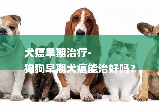 犬瘟早期治療-
狗狗早期犬瘟能治好嗎？