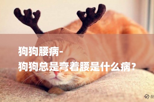 狗狗腰病-
狗狗總是彎著腰是什么病？