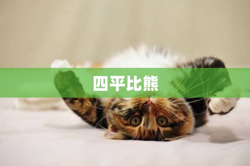 四平比熊