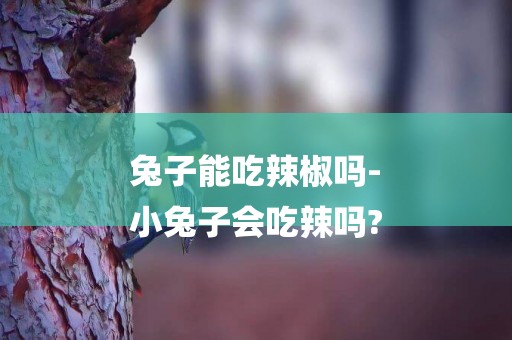 兔子能吃辣椒嗎-
小兔子會吃辣嗎?