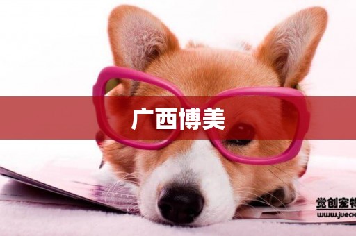 廣西博美