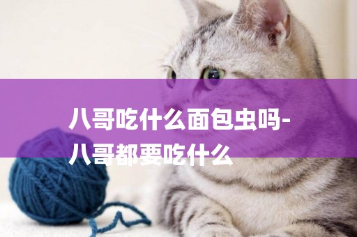 八哥吃什么面包蟲嗎-
八哥都要吃什么