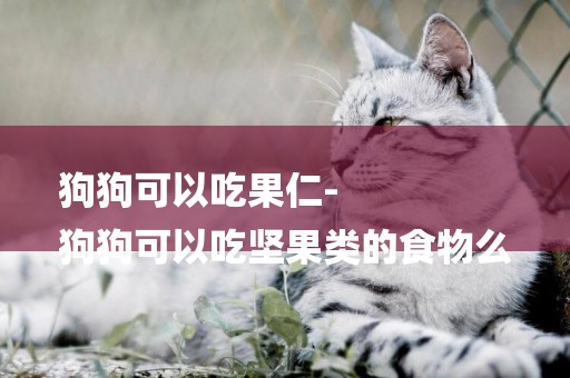 狗狗可以吃果仁-
狗狗可以吃堅果類的食物么