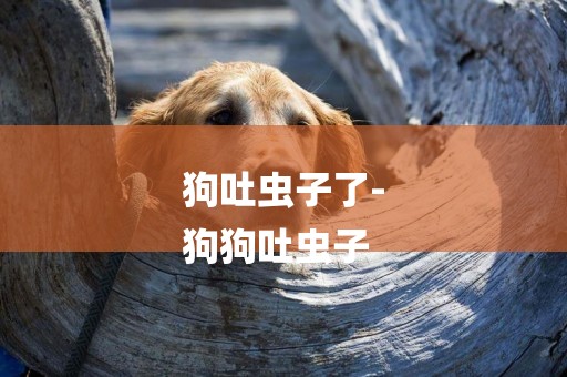 狗吐蟲子了-
狗狗吐蟲子