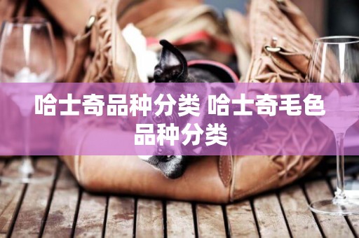 哈士奇品種分類 哈士奇毛色品種分類