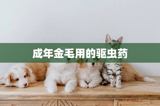 成年金毛用的驅蟲藥