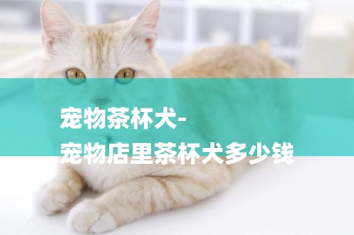 寵物茶杯犬-
寵物店里茶杯犬多少錢