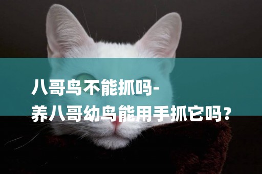 八哥鳥不能抓嗎-
養八哥幼鳥能用手抓它嗎？