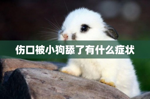 傷口被小狗舔了有什么癥狀