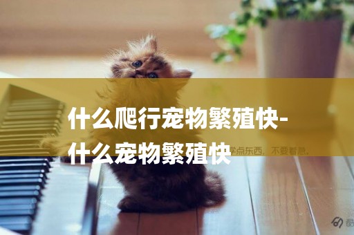 什么爬行寵物繁殖快-
什么寵物繁殖快