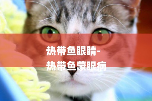 熱帶魚眼睛-
熱帶魚蒙眼病
