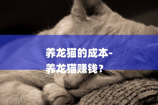 養龍貓的成本-
養龍貓賺錢？