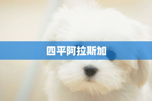 四平阿拉斯加