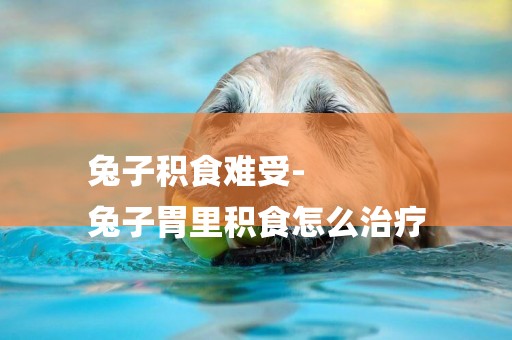 兔子積食難受-
兔子胃里積食怎么治療