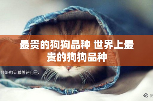 最貴的狗狗品種 世界上最貴的狗狗品種