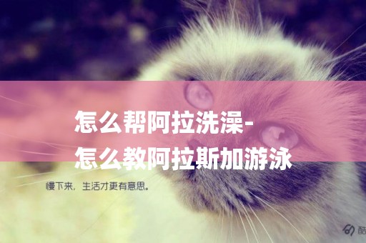 怎么幫阿拉洗澡-
怎么教阿拉斯加游泳